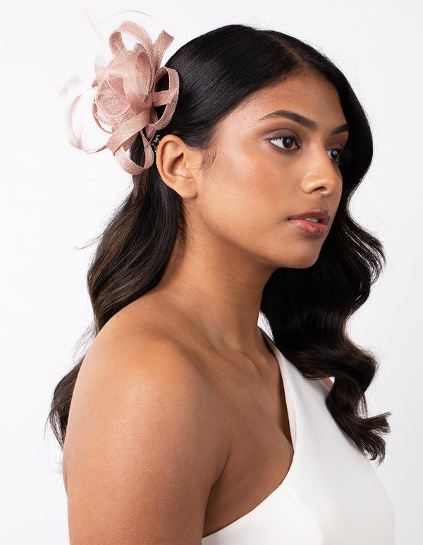 Pink Swirl and Feather Clip