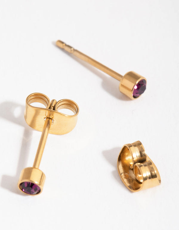 24 Carat Gold Plated Titanium February Amethyst Stud Earrings