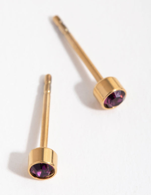 24 Carat Gold Plated Titanium February Amethyst Stud Earrings