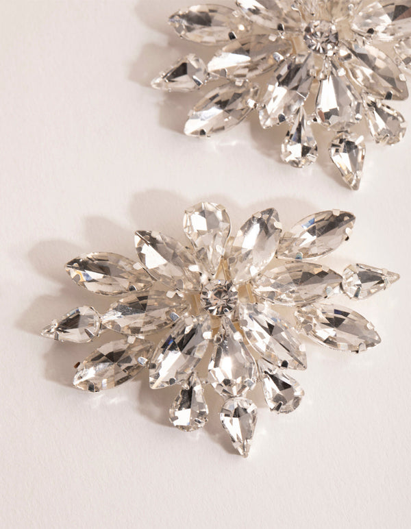 Diamante Broach Shoe Clip