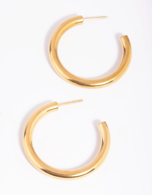 Gold Plated Surgical Steel Hoop Earrings