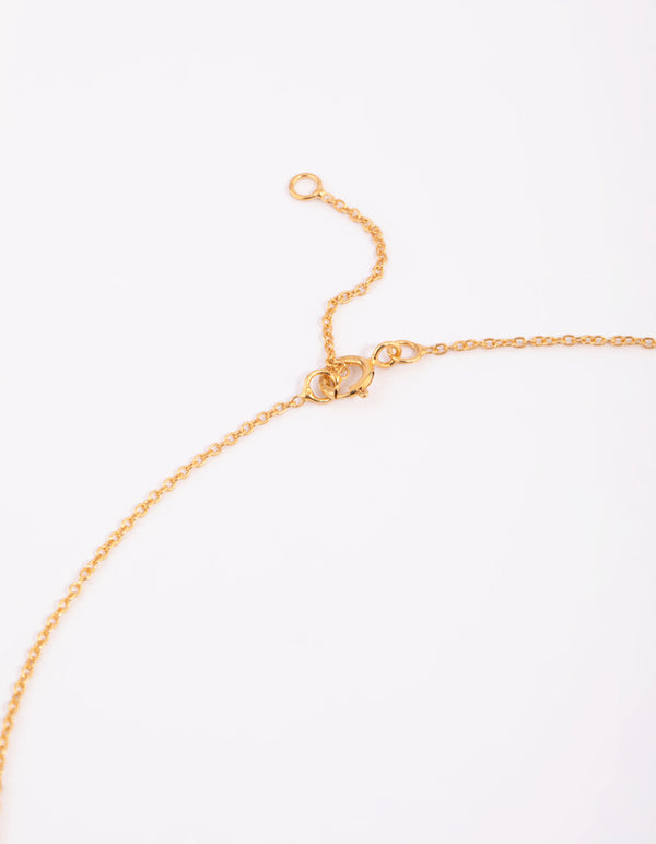 Gold Plated Sterling Silver Lariat Necklace