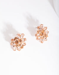 Rose Gold Rose Diamante Earrings - link has visual effect only