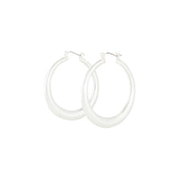 Silver Circular Tube Hoop Earrings - link has visual effect only
