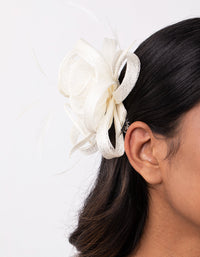 Cream Swirl and Feather Clip - link has visual effect only