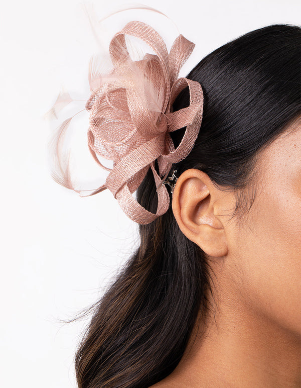 Pink Swirl and Feather Clip