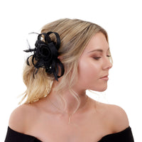 Black Swirl and Feather Clip - link has visual effect only