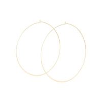 Gold Fine Round Hoop - link has visual effect only