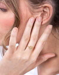Vergulde sterling zilveren muntring - link has visual effect only