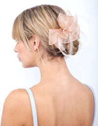 Blush Flower Feather Haarkam - link has visual effect only