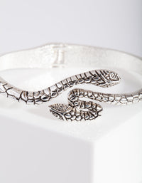Antique Silver Snake Bangle - link has visual effect only