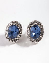 Navy Rhodium Oval Jewel Earrings - link has visual effect only