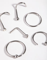 Rhodium Classic Mix 6-Pack Nose Piercings - link has visual effect only