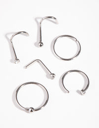 Rhodium Classic Mix 6-Pack Nose Piercings - link has visual effect only