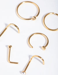 Gold Classic Mix 6-Pack Nose Rings - link has visual effect only