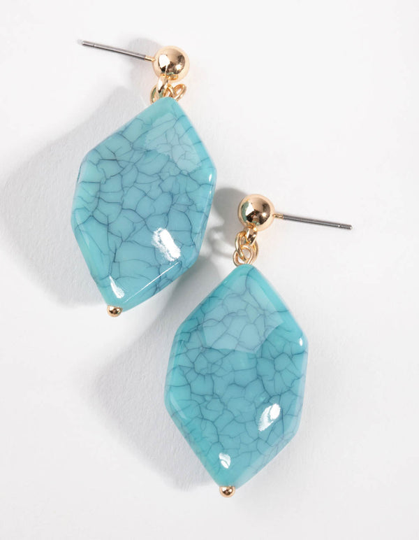 Gold Large Acrylic Drop Earrings
