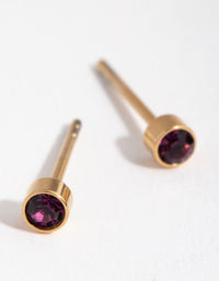 24 Carat Gold Plated Titanium February Amethyst Stud Earrings - link has visual effect only