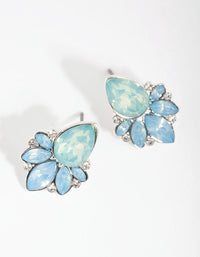 Silver Statement Cluster Stud Earrings - link has visual effect only