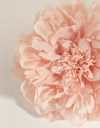 Statement Blush Corsage - link has visual effect only