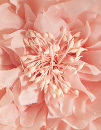 Statement Blush Corsage - link has visual effect only