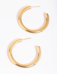 Gold Plated Surgical Steel Hoop Earrings - link has visual effect only