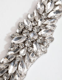 Crystal Bunch Bridal Sash - link has visual effect only